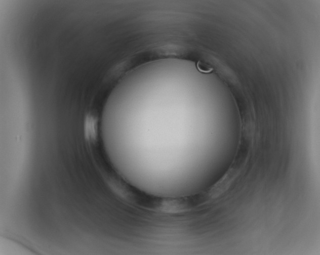 X0000111130070200907071026