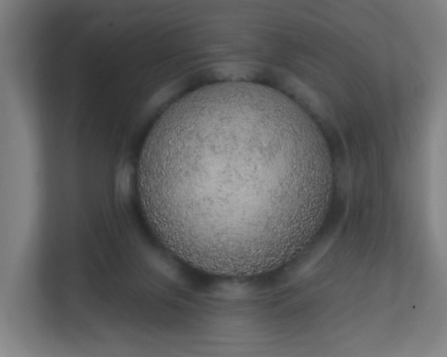 X0000111130071200907071026