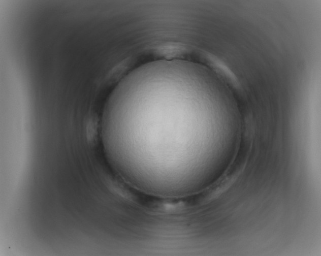X0000111130073200907071026