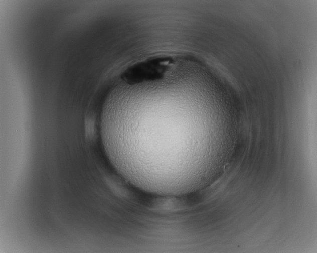 X0000111130074200907071026