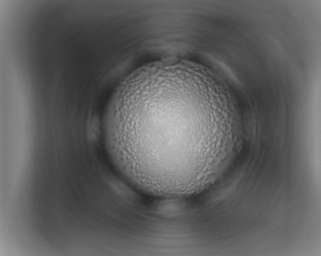 X0000111130077200907071026