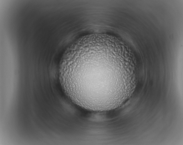 X0000111130078200907071026