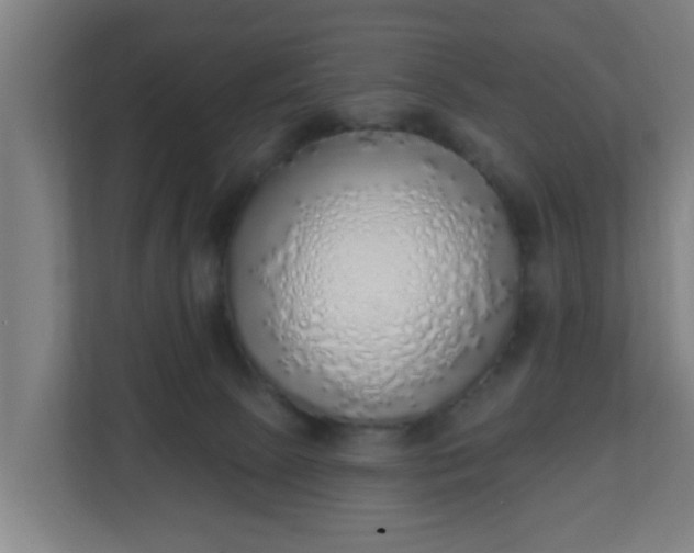 X0000111130081200907071026