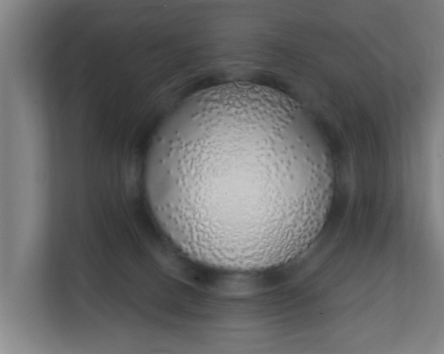 X0000111130082200907071026