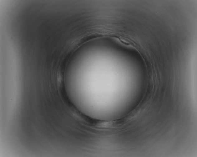 X0000111130084200907071026