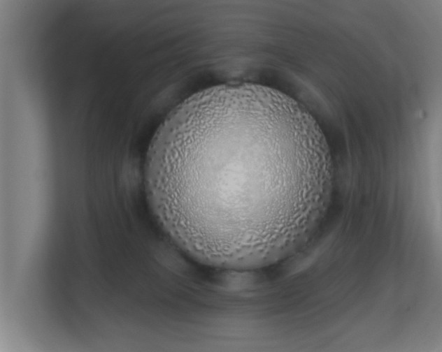 X0000111130085200907071026