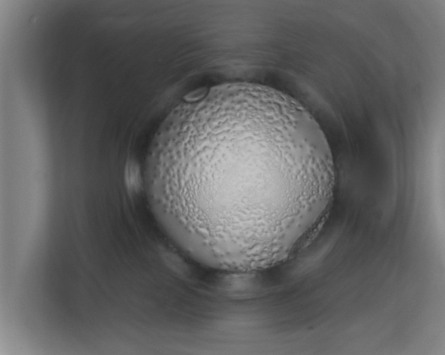 X0000111130089200907071026