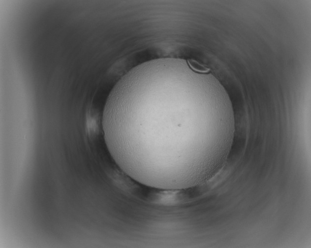 X0000111130090200907071026