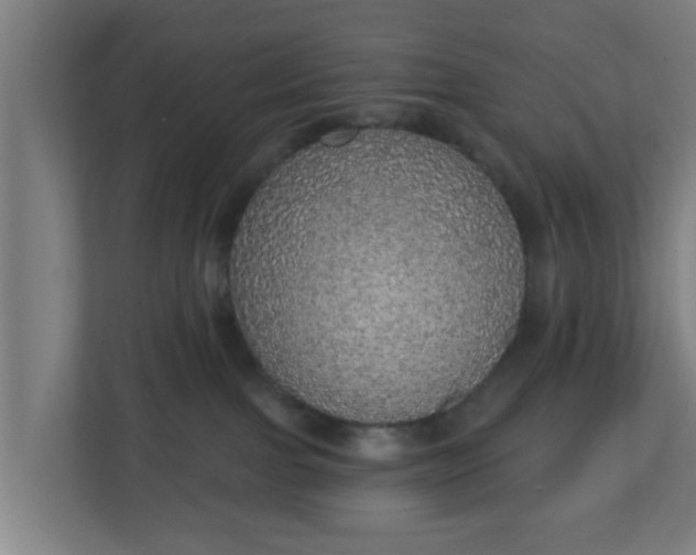 X0000111130091200907071026