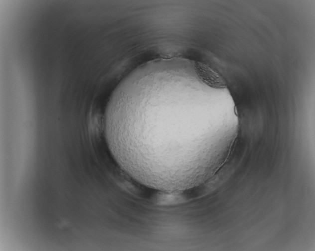 X0000111130093200907071026
