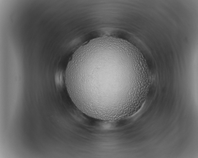 X0000111130094200907071026