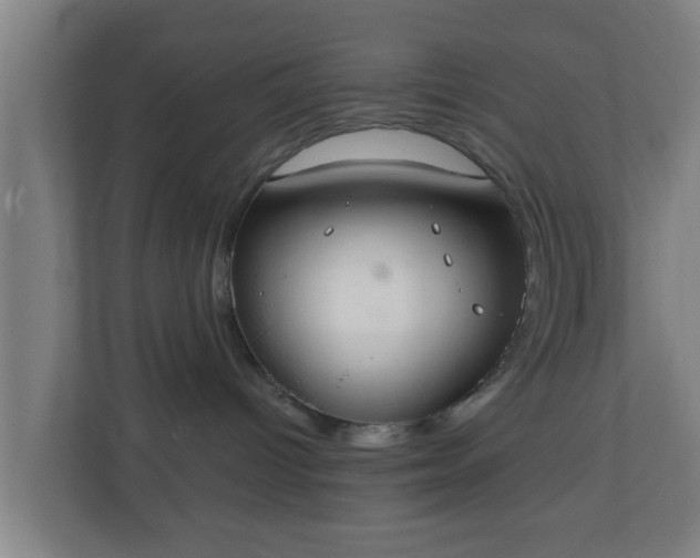 X0000111130096200907071026