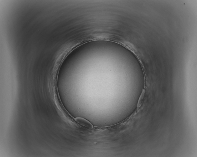 X0000111130097200907071026