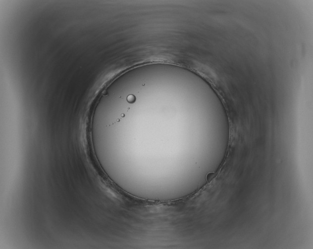 X0000111130098200907071026