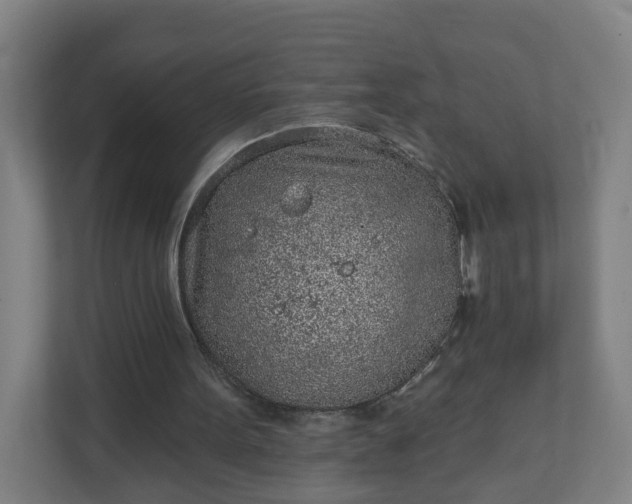 X0000111130099200907071026