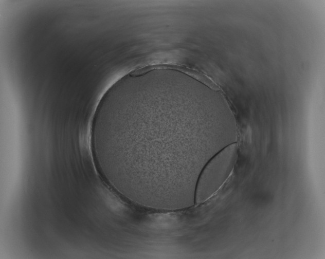 X0000111130100200907071026