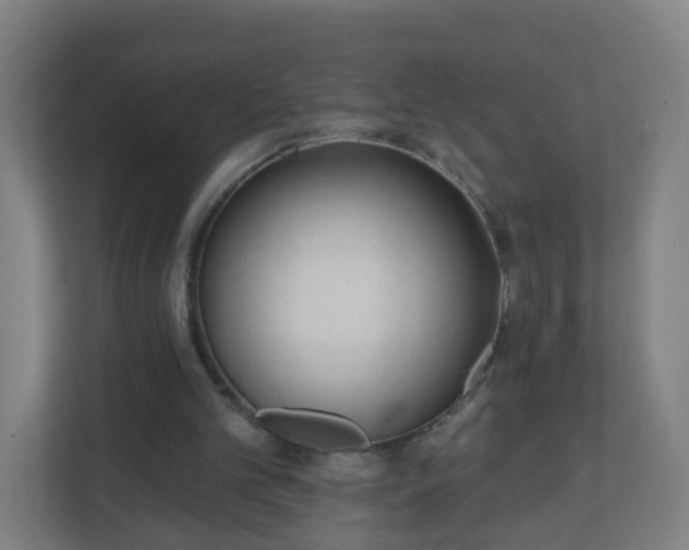 X0000111130101200907071026