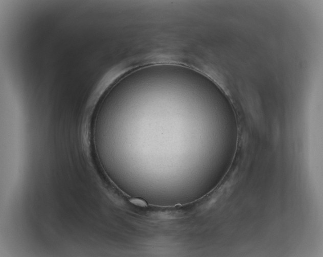 X0000111130103200907071025