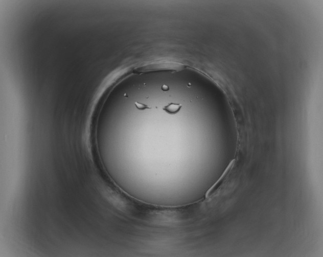 X0000111130104200907071025