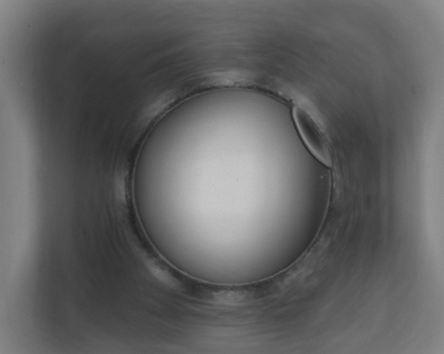 X0000111130105200907071025