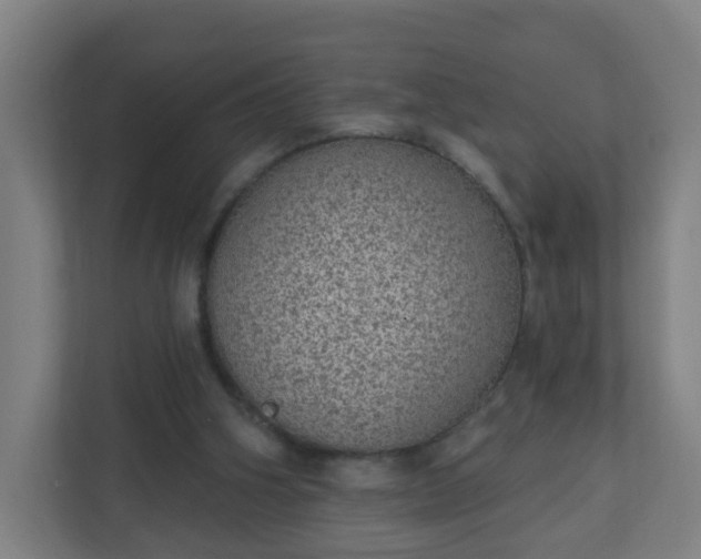 X0000111130106200907071025