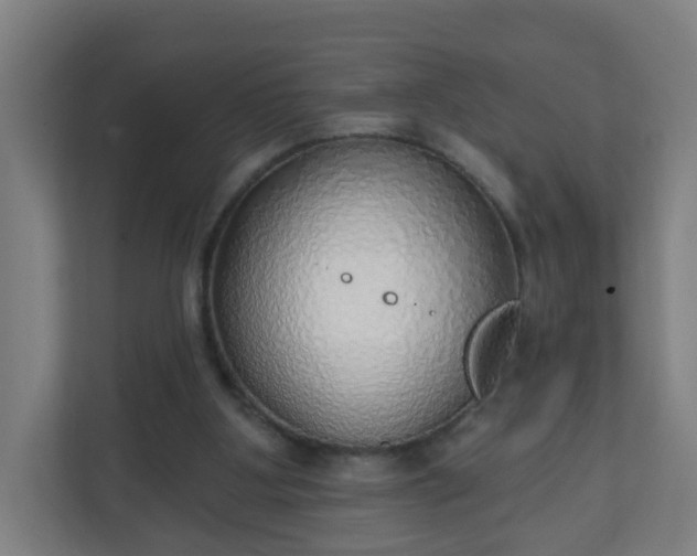 X0000111130107200907071025