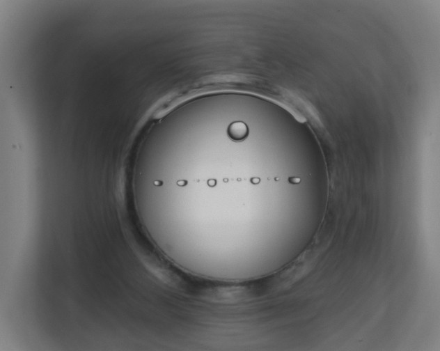 X0000111130108200907071025