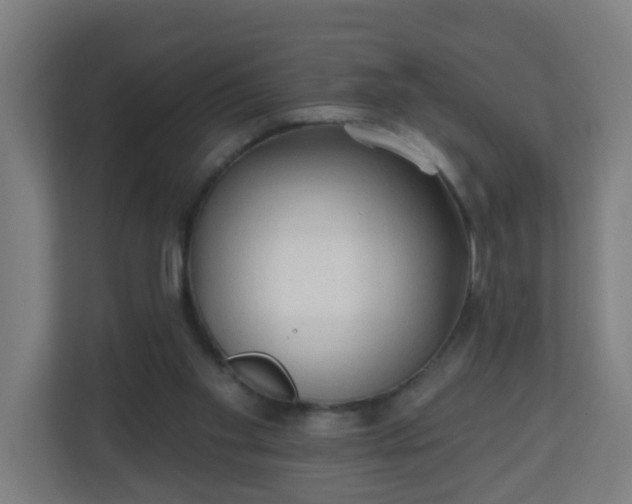 X0000111130109200907071025