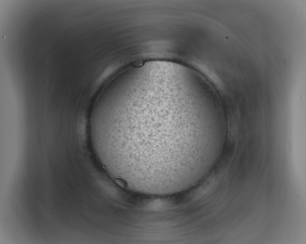 X0000111130111200907071025