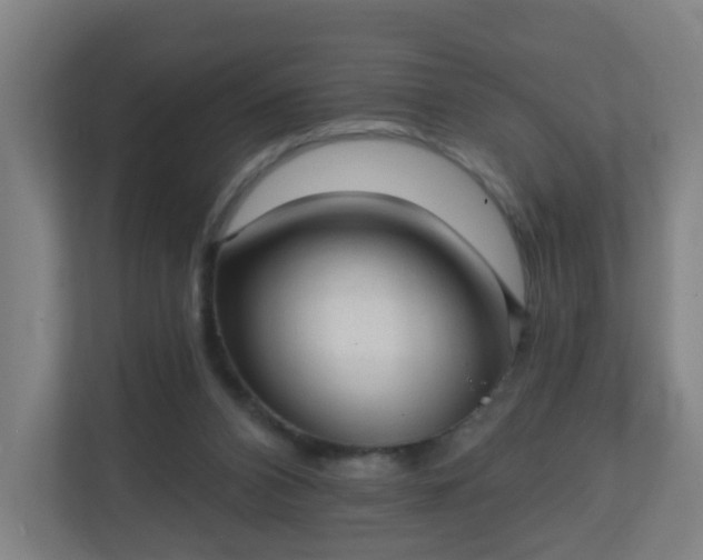 X0000111130112200907071025