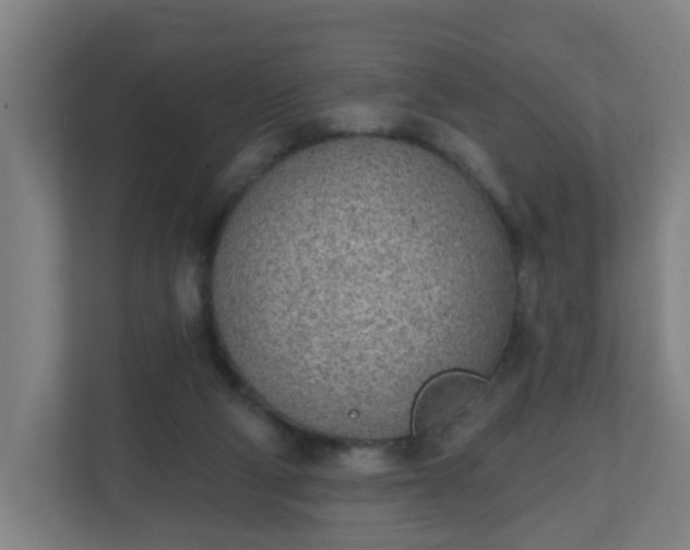 X0000111130114200907071025