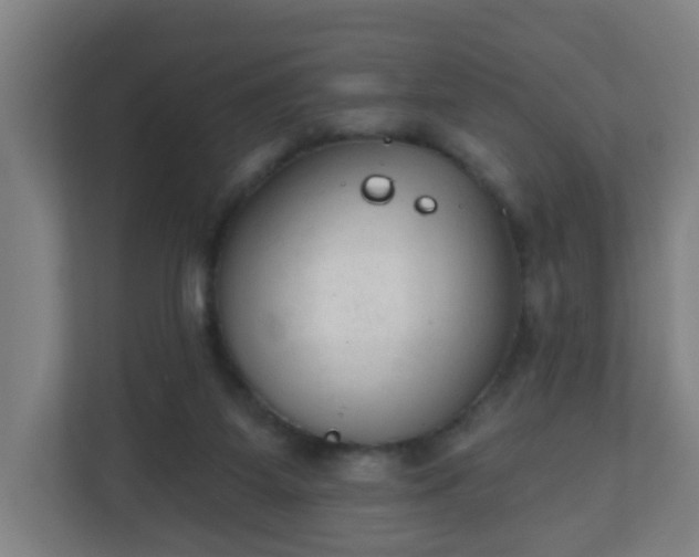 X0000111130115200907071025