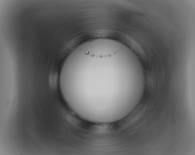 X0000111130118200907071025