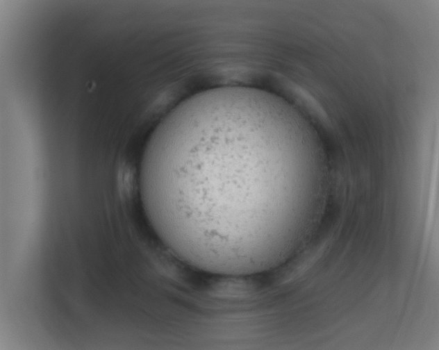 X0000111130123200907071025