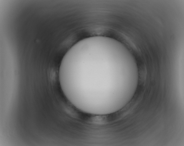 X0000111130126200907071025