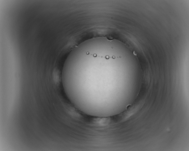 X0000111130135200907071025