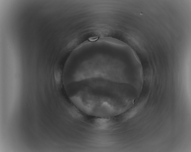 X0000111130139200907071025