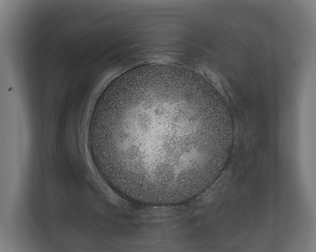 X0000111130145200907071024