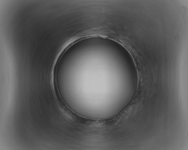 X0000111130148200907071024