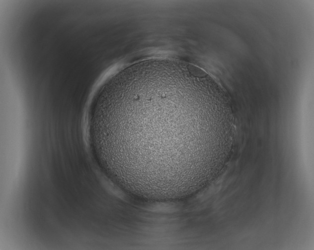 X0000111130149200907071024