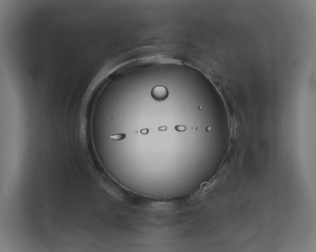 X0000111130150200907071024