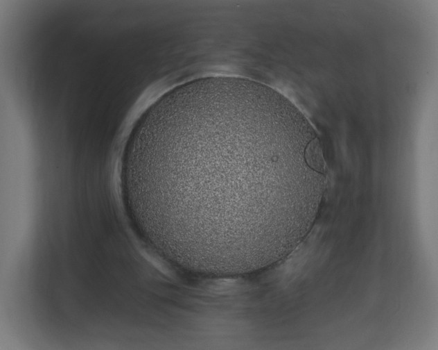 X0000111130151200907071024