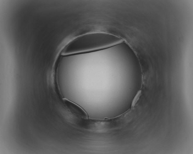 X0000111130152200907071024