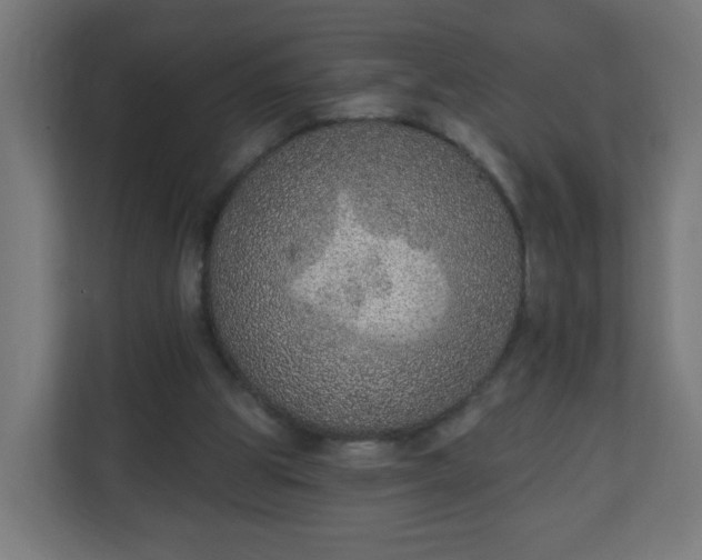 X0000111130153200907071024
