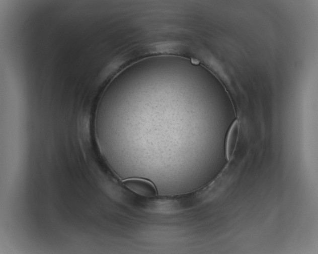 X0000111130154200907071024