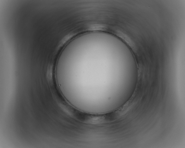 X0000111130155200907071024