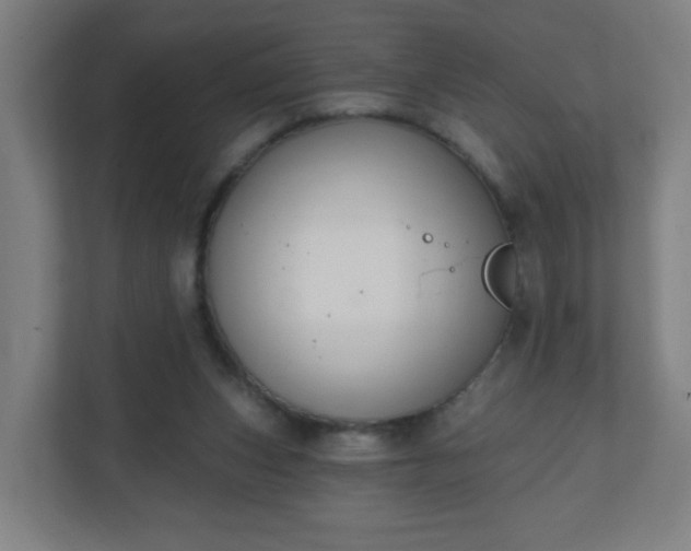 X0000111130159200907071025