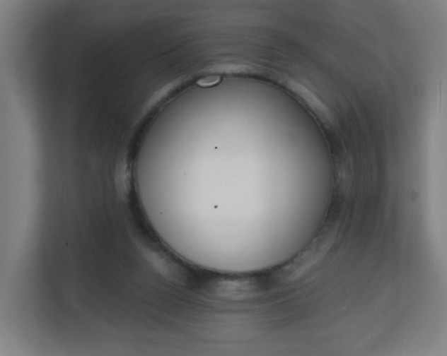 X0000111130160200907071025