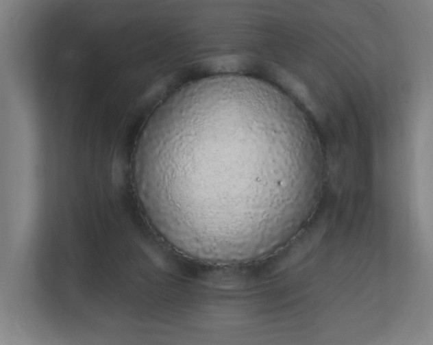X0000111130161200907071025