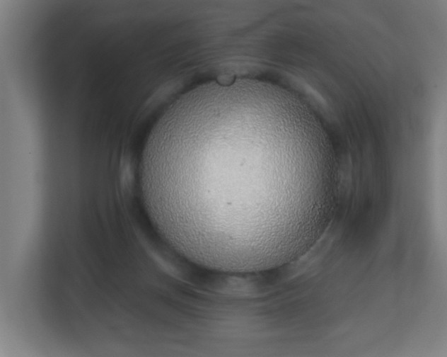 X0000111130166200907071025